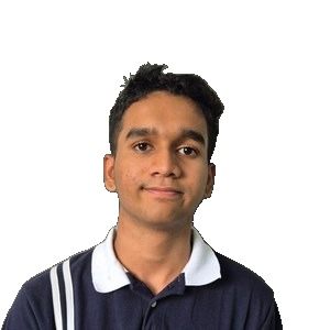 Ved Singh